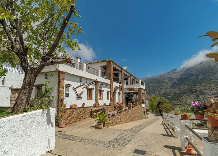 Hotel La Fragua II